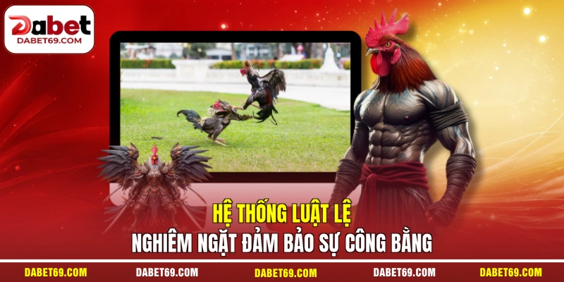 Hệ thống luật lệ nghiêm ngặt đảm bảo sự công bằng